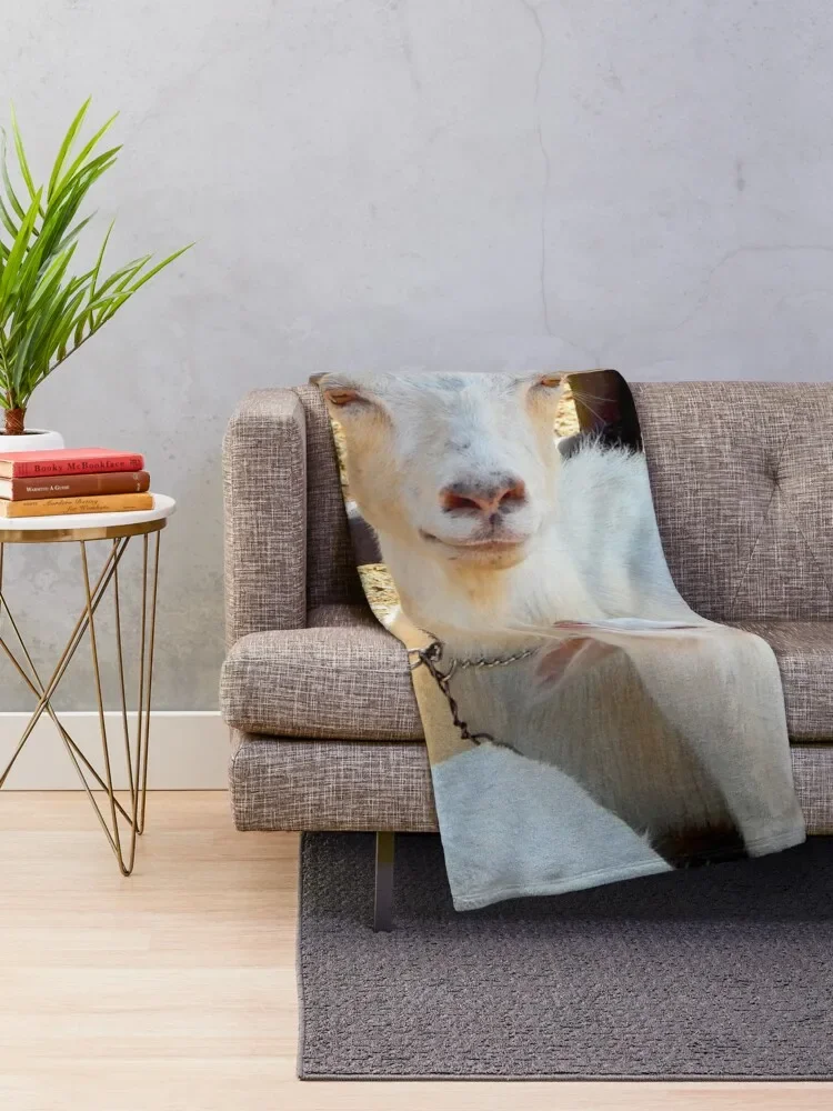 ������  ���� ������ ���, �ſ� ū ������, ������ ��� ���