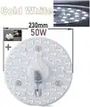 50W Cold White