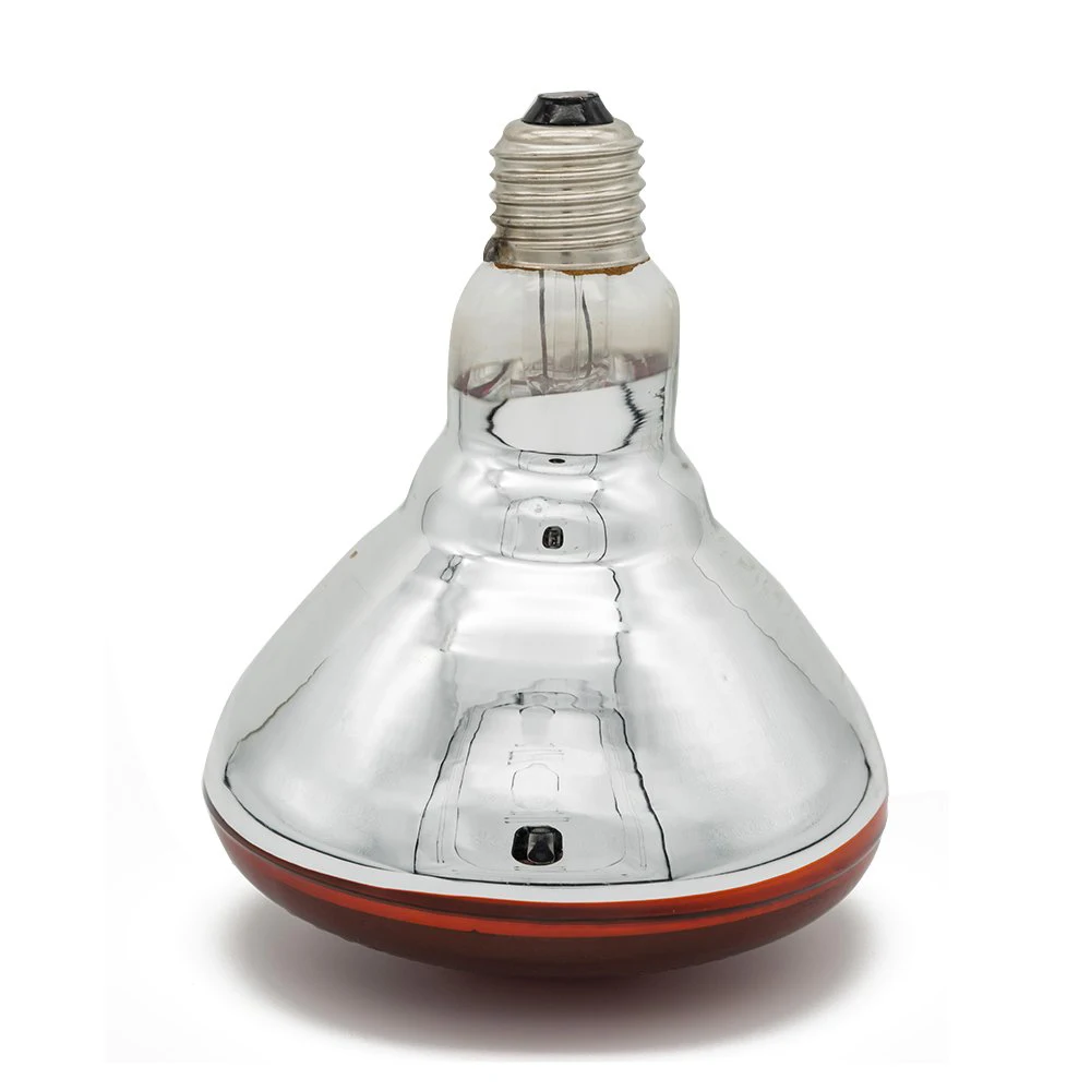 Amphibian and Reptile Heating Lamp Livestock Insulation Heating Lamp Pet Accessories 220V Infrared Bulb