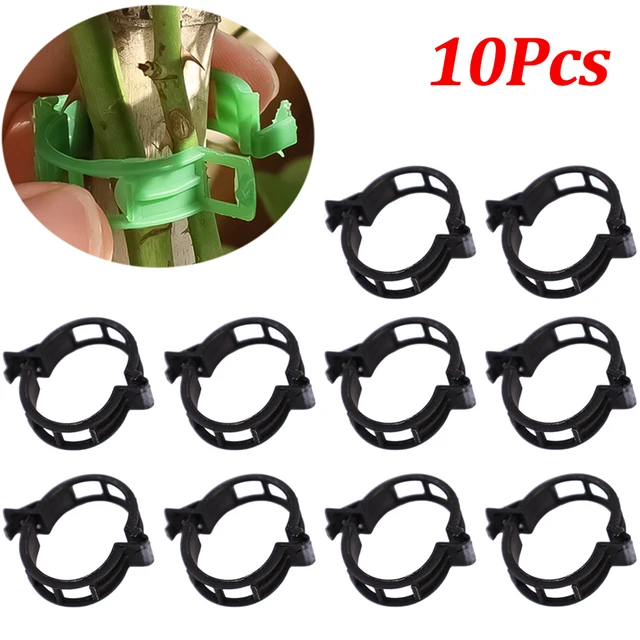 Black-10Pcs