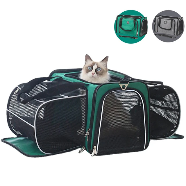 perfrom Airline Approved Pet Carrier,Soft Sided Cat Carriers for Small Dog  Cats and Small Animals 