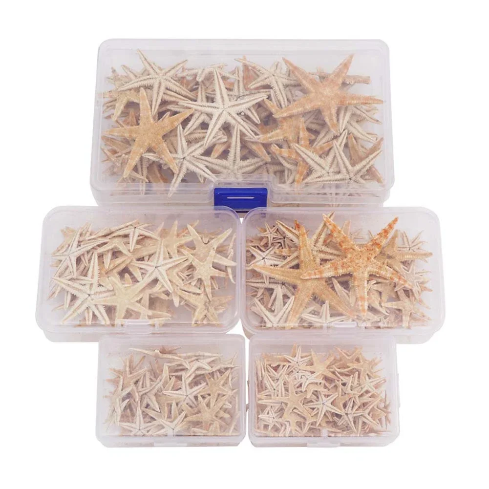 Natural Shell Ornaments Resin Starfish Ornaments 20/50/100pcs Starfish Seashell Practical Mixed Natural Reusable Realistic White Star Fish Tank Decor