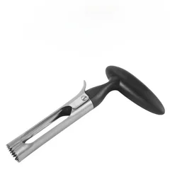 Deluxe Stainless Steel Fruit Corer and Slicer Tool (Black)