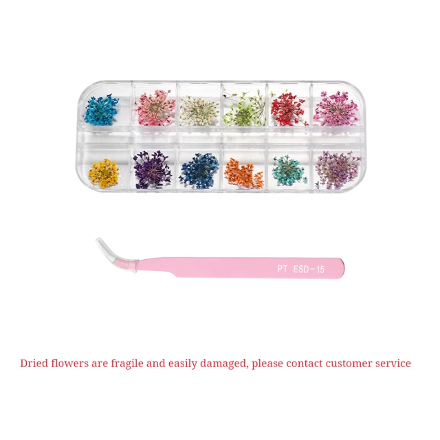 1Box Dried Flowers Dry Plants for Rsein Molds Fillings Epoxy Resin Pendant Tweezers Jewelry Making Craft DIY Nail Art Decoration SET 04