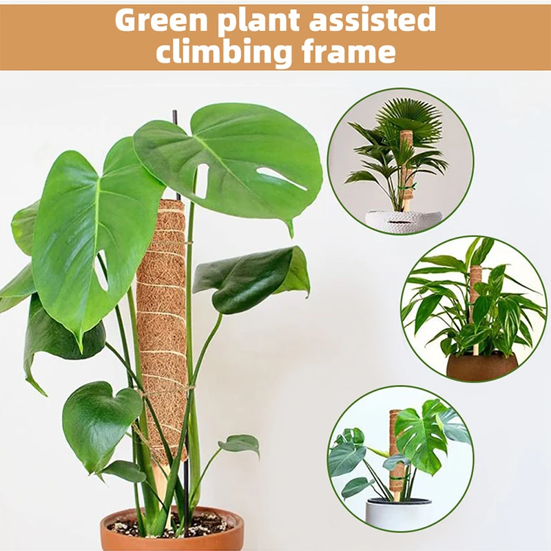 Climbing Pole Plant Support Indoor Climbing Plants Stake plant stakes