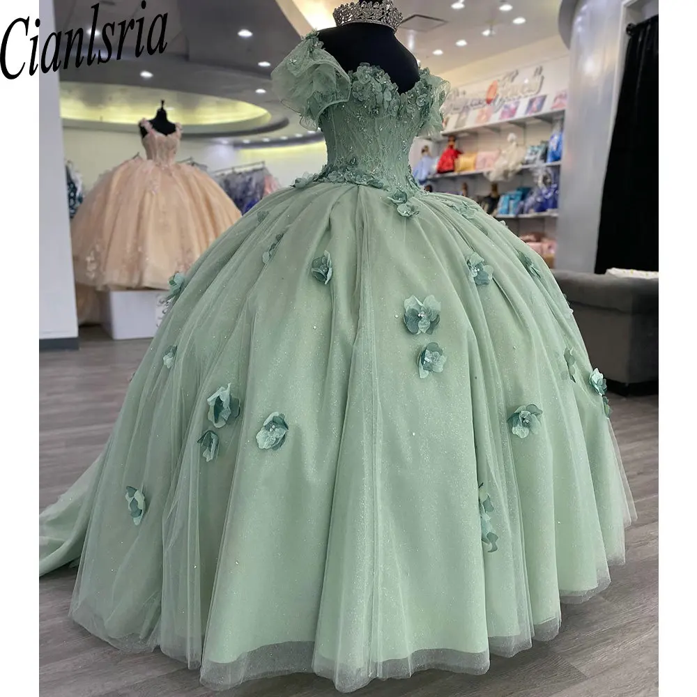 

Mint Green Off the Shoulder 3D Flowers Ball Gown Quinceanera Dresses Crystal Beading Lace Corset Sweet 15 Vestidos De 15 Años