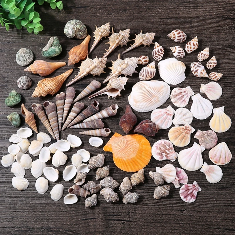 Aquarium Ornaments DIY Fish for Tank Decorations Mixed Seashells Sea Snail Coral Various Sizes up to 2.4" 55KF