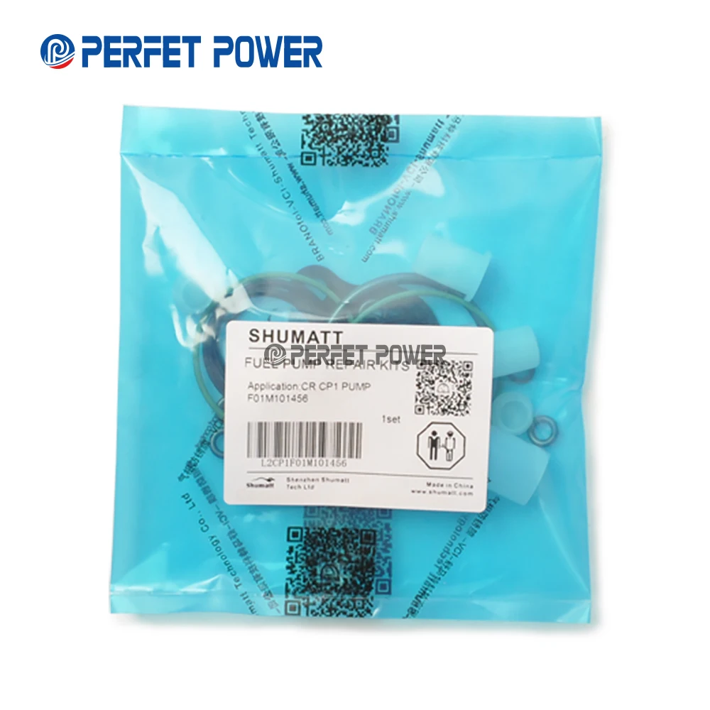 Common Rail Fuel Pump Repair Kit For CR CP1 Pump