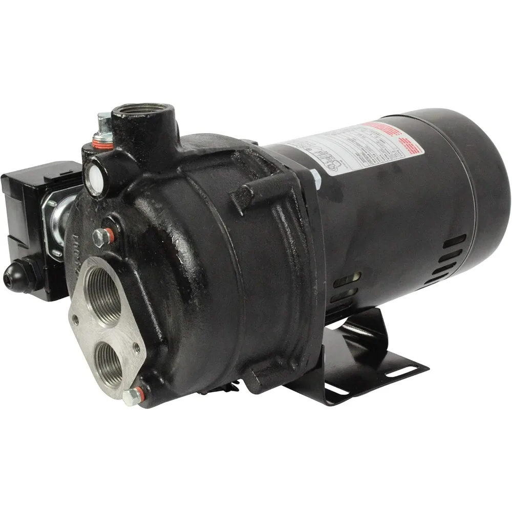 Wayne CWS100 1 Horsepower Cast Iron Jet Well Pump with 588 GPH Capacity - Heavy Duty, Black