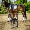 Saddle Rack Wall Mount Holds Tack, Pad, Accessories 4 Tier for Western/English Saddles Equestrian Equipment for Horse Tack Room 4