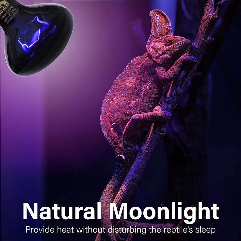 Infrared Heating Lamp Reptile Night Heating Light 25W-100W Simulated Moonlight Lamp Bulb Amphibians Pets Lives Stock