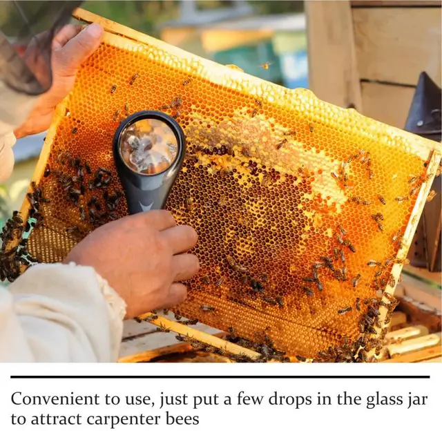 Méh Vonzerő Mason Bee Ház Esszencia Természetes Csapdacsalád A Szabadban Vonzza Az Ács Méheket Kerti Kaptár Fészkeléshez - Image 4