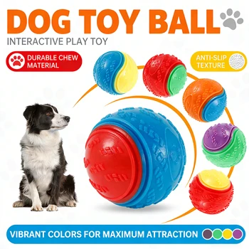 Squeaky Dog Ball Set 1
