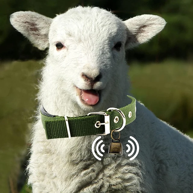 3 Pack Goat Collar with Bell Grazing Copper Bells and Adjustable Nylon Collar Set for Small Farm Animal Sheep Cow Pet Goat green 4