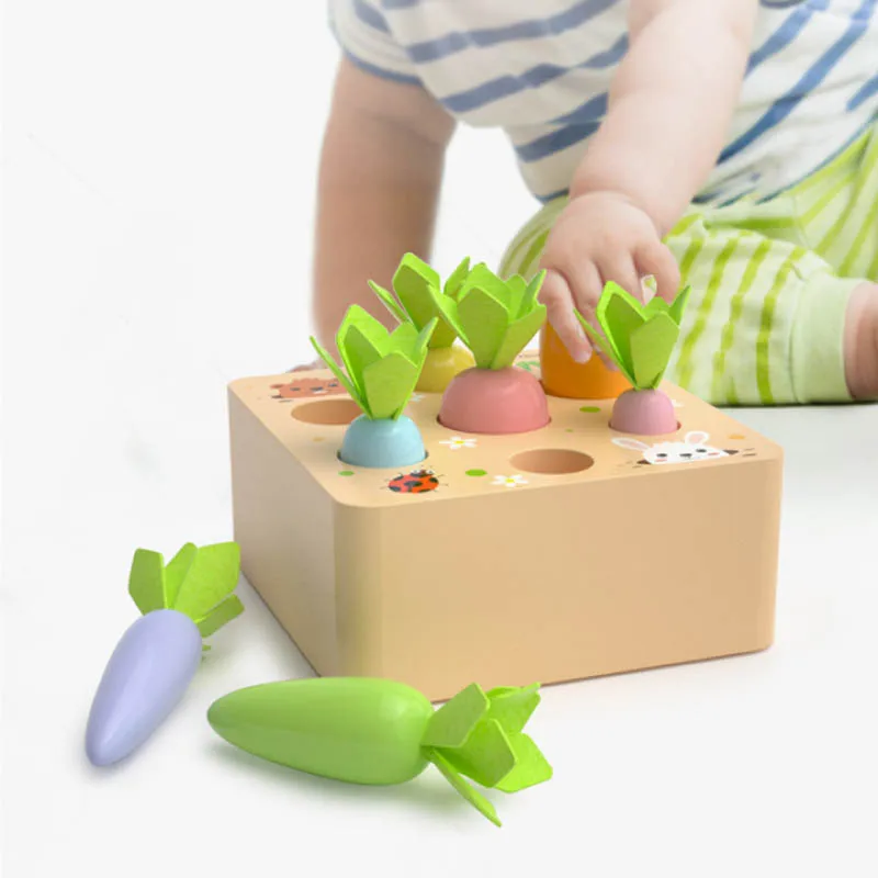 Jogo de colheita de madeira para crianças, brinquedos montessorianos,  brinquedos educativos para aprendizagem precoce para meninos e meninas,  seleção de formas, 1 ano, 2 anos, 3 anos - AliExpress