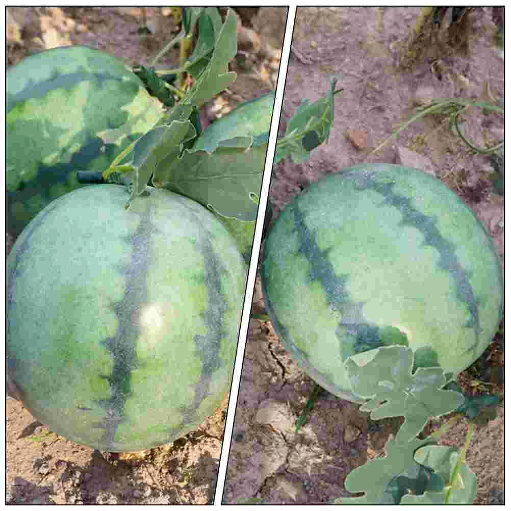 Simulated Watermelon Fake Fruit Models Lifelike Fruits Foam Ornament Display Prop Decorative Artificial artificial fruits and vegetables