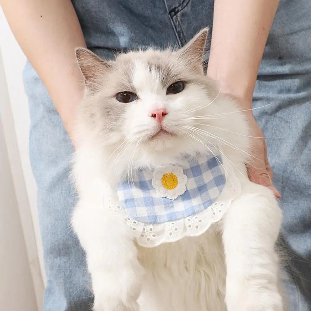 Pet Bib Saliva Towel Flower Lattice Lace Cat Teddy Bib Round Neck Scarf Sweet Pet Dog Scarf Dressing Up Photos Puppy Accessories