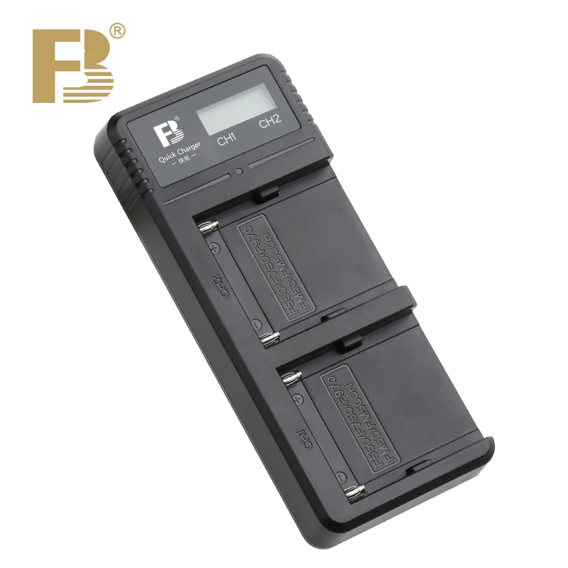 2x SK Akku + Ladegerät Für Sony NP-F550 - 2400mAh Kamera Akkus