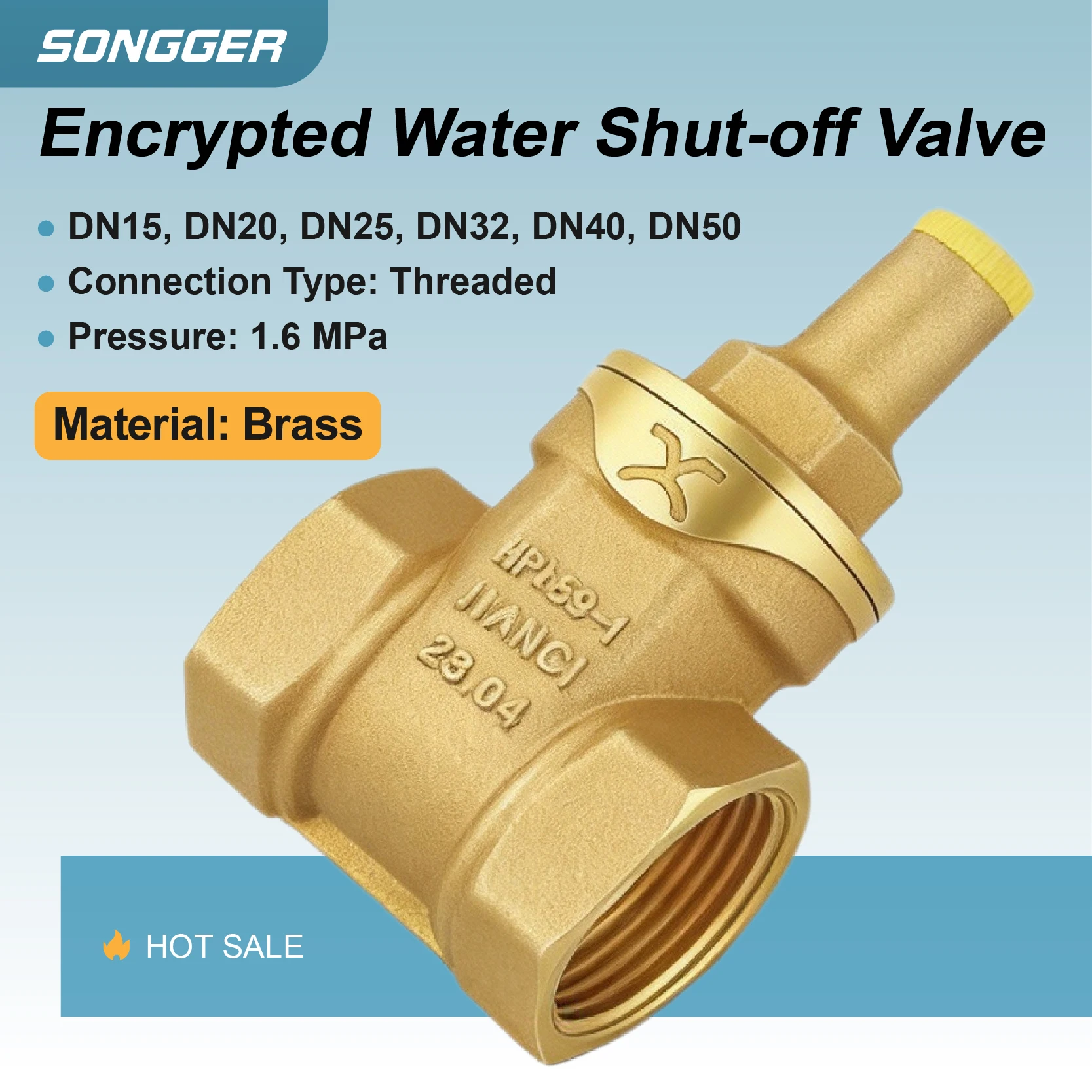 Lockable Brass Heavy Duty Threaded Gate Valve for Meter Security Outdoor Anti Theft Shutoff Valve 1.6MPa DN15 DN50 with Lock Cap