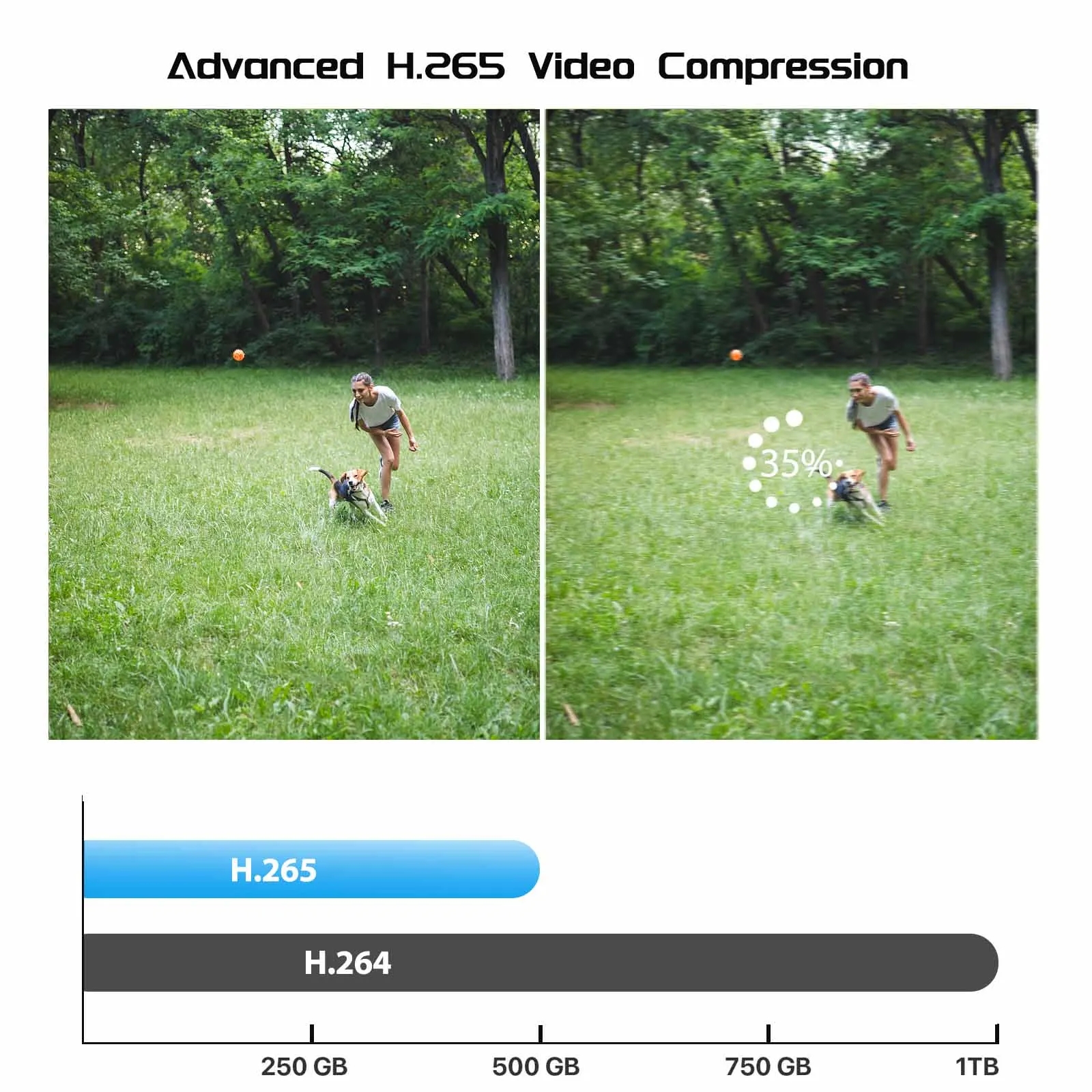 1080P 2MP 2/4pcs 야외 실내 유선 감시 카메라 모션 감지 HD 야간 투시경을 갖춘 4CH HD 보안 카메라 시스템