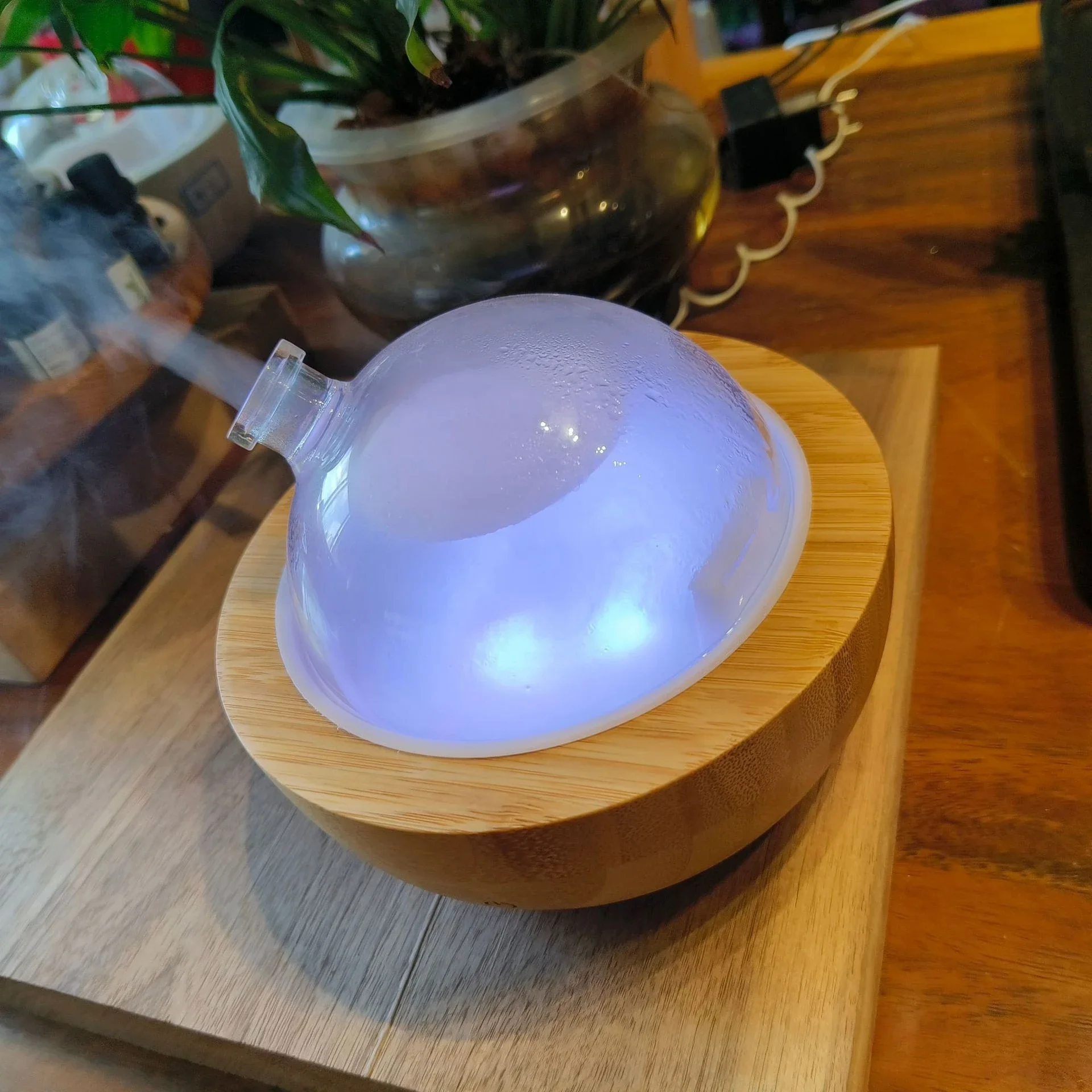 Essential O Diffuser With Real Wood Base, 200ml Ultrasonic Aromatherapy Diffuser, Glass Dome Humidifier, LED Light_voghion.com