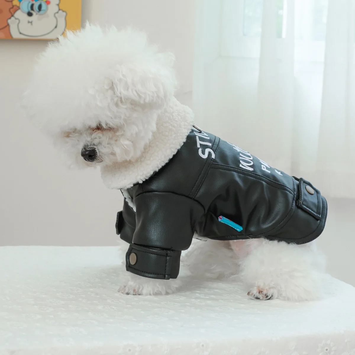 Pet Leather Fur Collar Fur Coat - PeticaDeals