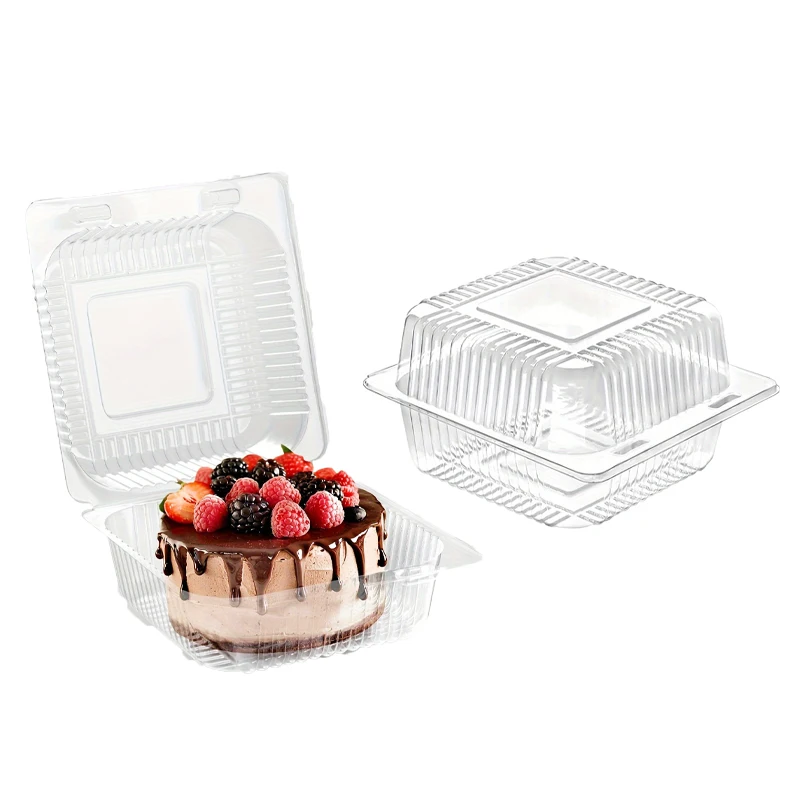 50/100PCS Transparente Kuchen Box Kunststoff Platz Mitnehmen Box Brot Obst Salat Kekse Backen Desserts Einweg Lebensmittel Behälter – Detail 3