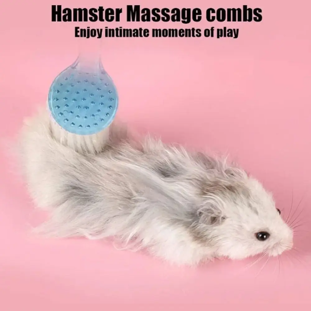 Long Hair Small Hamster Brush Round Head Soft Golden Bear Cleaning Comb Bath Mini Brush Hamster Cleaning
