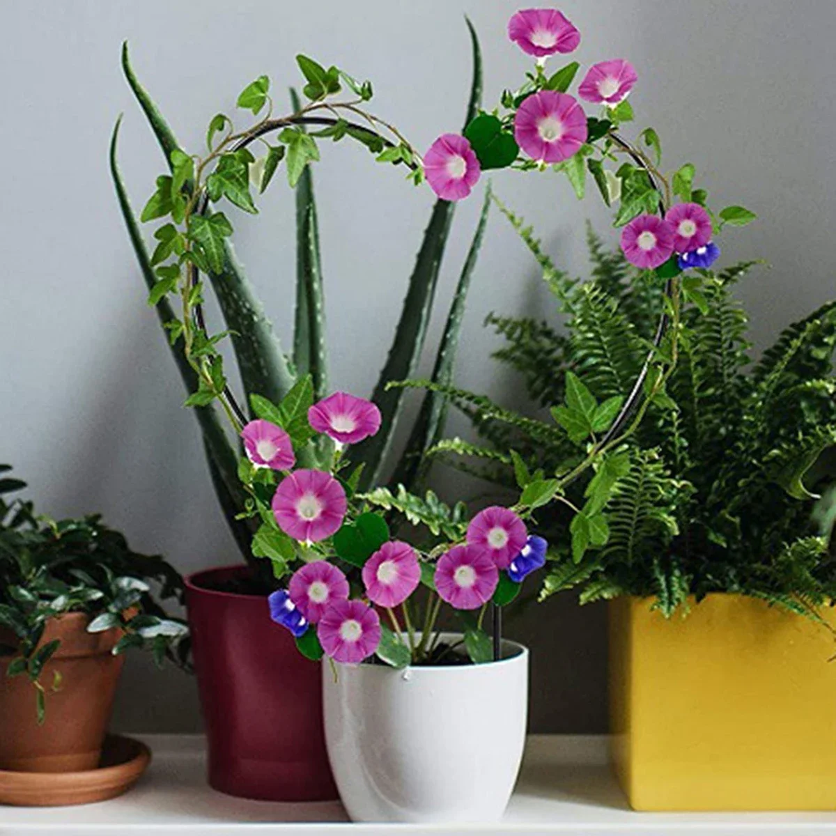 Heart-Shaped Garden Plant Support Stake-Circular Vine Climbing Frame