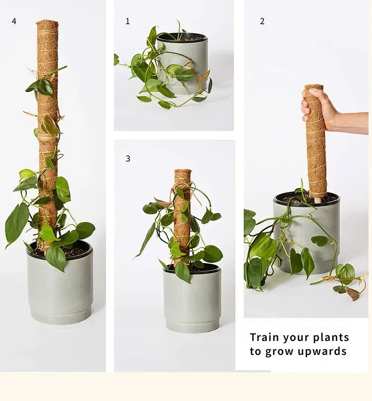 Plant Climbing Support Plant Support Stick Coconut Palm Sticks for Gardening