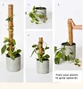 Coconut palm sticks for plant climbing with sticks Extendable and deformable coconut palm sticks for gardening plant accessories 1