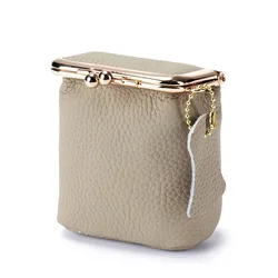 Elegant Women's Real Leather Cosmetic Bag with Golden Hasp - Compact Makeup and Coin Pouch (Elephant Gray)