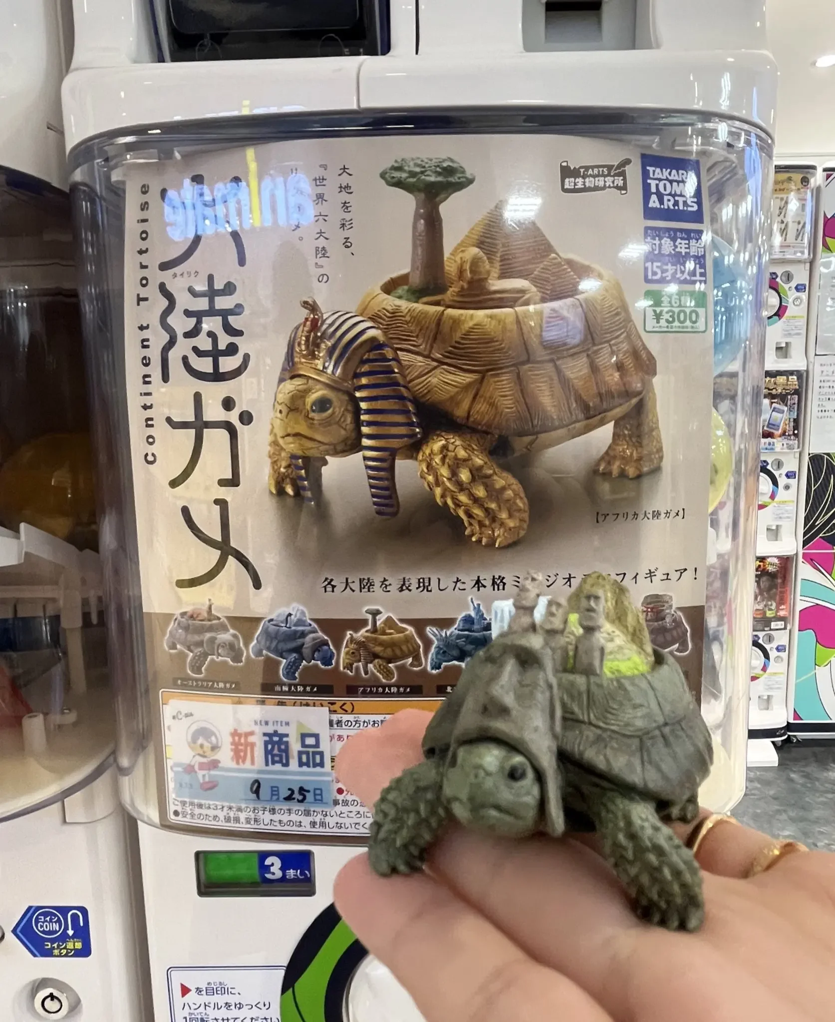 タカラトミーアーツ カプセルトイ かわいいクリエイティブ大陸亀爬虫類