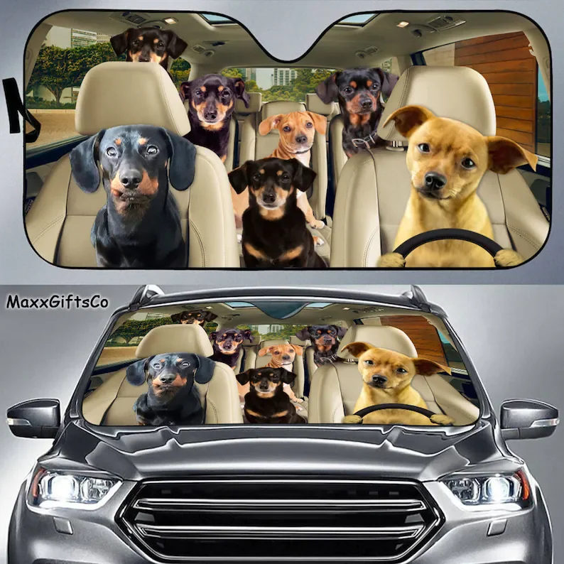 

Chiweenie Car Sun Shade, Chiweenie Windshield, Dogs Family Sunshade, Dogs Car Accessories, Car Decoration, Gift For Dad, Mom