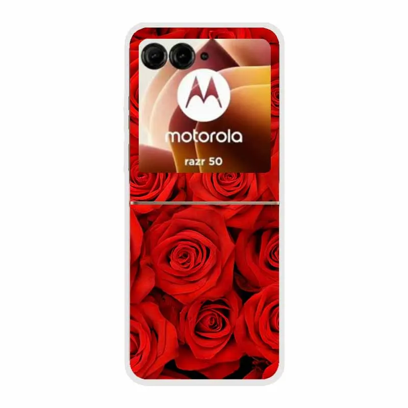 Cartoon Design Transparent Hard Plastic Back Cover Case