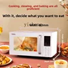 Zz microwave oven household smart steam oven all-in-one machine flat light wave furnace 2