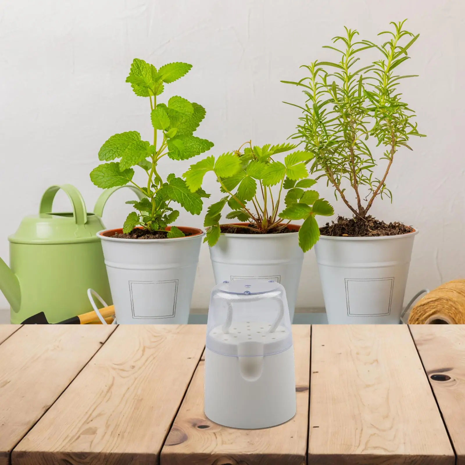 Self-Watering Decorative Indoor Plant Pot
