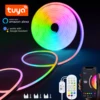 5V USB RGB Neon LED Strip 1M 2M 3M 4M 5M WiFi Neon RGB Strip Work With Tuya App/Smart Life/Alexa for TV Home Neon Decor Lighting 1