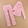Velvet Tracksuit for Women 2025 Women's Hooded Jacket and Pants Suit Two Piece Set Women's Outfit 2