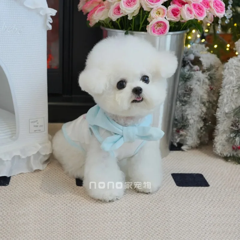 봄 가을 신상품 물방울 무늬 나비넥타이 순면 하의 셔츠 귀여운 조끼 애완견 미티 테디 소형견