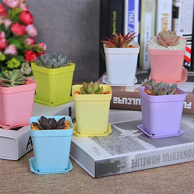 Set of 6 Colorful Mini Square Succulent Plant Pots with Trays