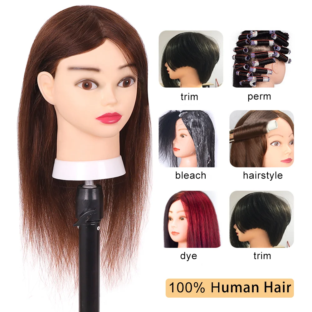 Armmu Mannequin Head with 100% Real Hair, 16 Hairdresser Cosmetology  Mannequin Manikin Training Practice Doll Head for Hairstyling and Free  Clamp