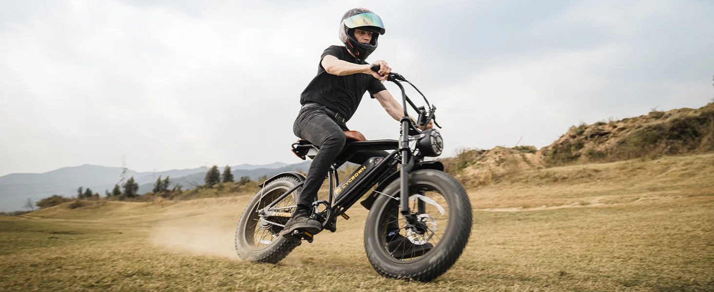 electric bike