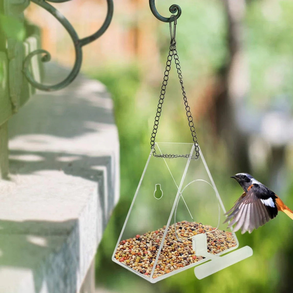 Clear Acrylic Bird Feeder 6