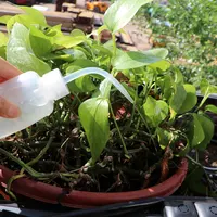 150-1000mL Plants Sprinkler Squeeze Spray Bottles Kettle Watering Can for Home Flowers Succulents Drip Irrigation Kitchen Oilcan 5