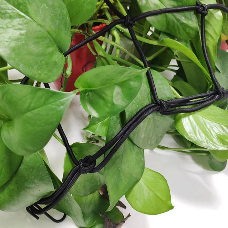 Plants Climbing Net Pressing Net Pressed Branch Web Uniform Light-receiving Plastic Polyester Bag Supporting Equipment