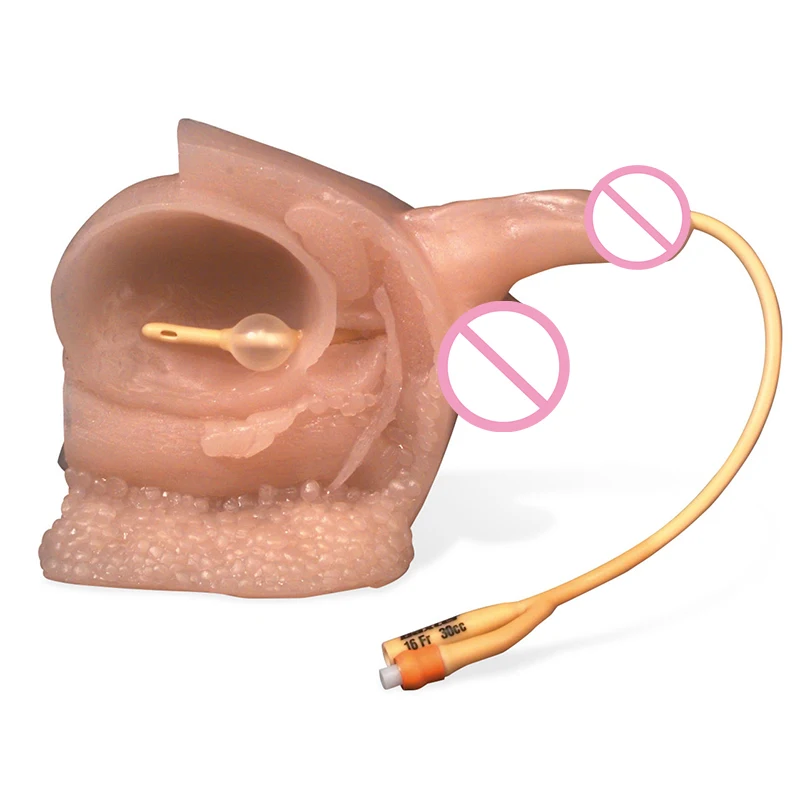 Penis Plug Urethral Sounding Bladder Dildator Catheter Sound Dilation Urethra Probe