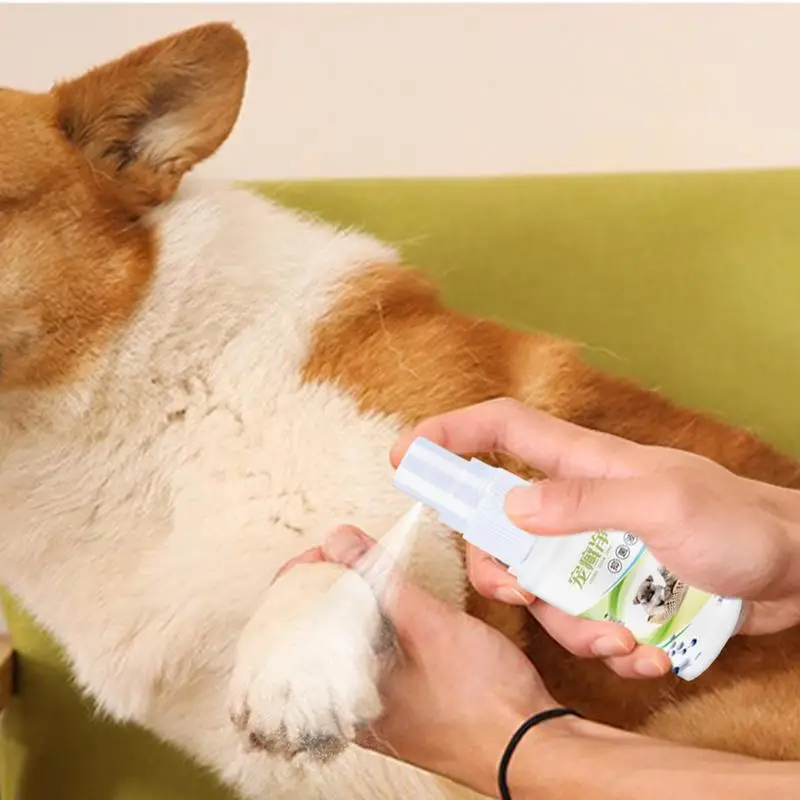 Pet Skin Itch Spray Wound Care Spray Dog Moisturizing Wound Liquid 30ml Skin Care Anti Itch For Dogs Paws Protection