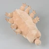 Water Bear High Fidelity Anime Cute Plushie Tardigrade Plush Toys Lifelike Animals Simulation Stuffed Doll Kawai Toy Gifts Kids 6