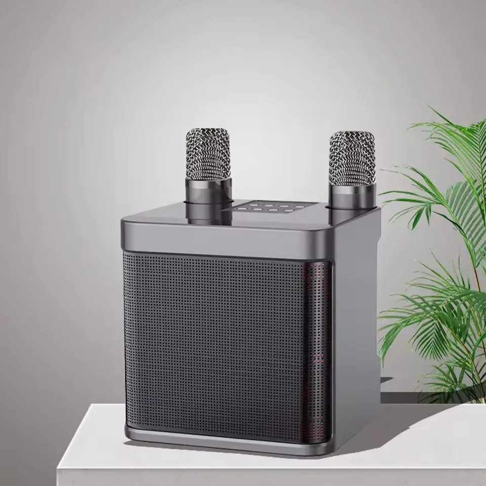 Portable Karaoke Boombox with Dual Wireless Microphones and Voice Changer